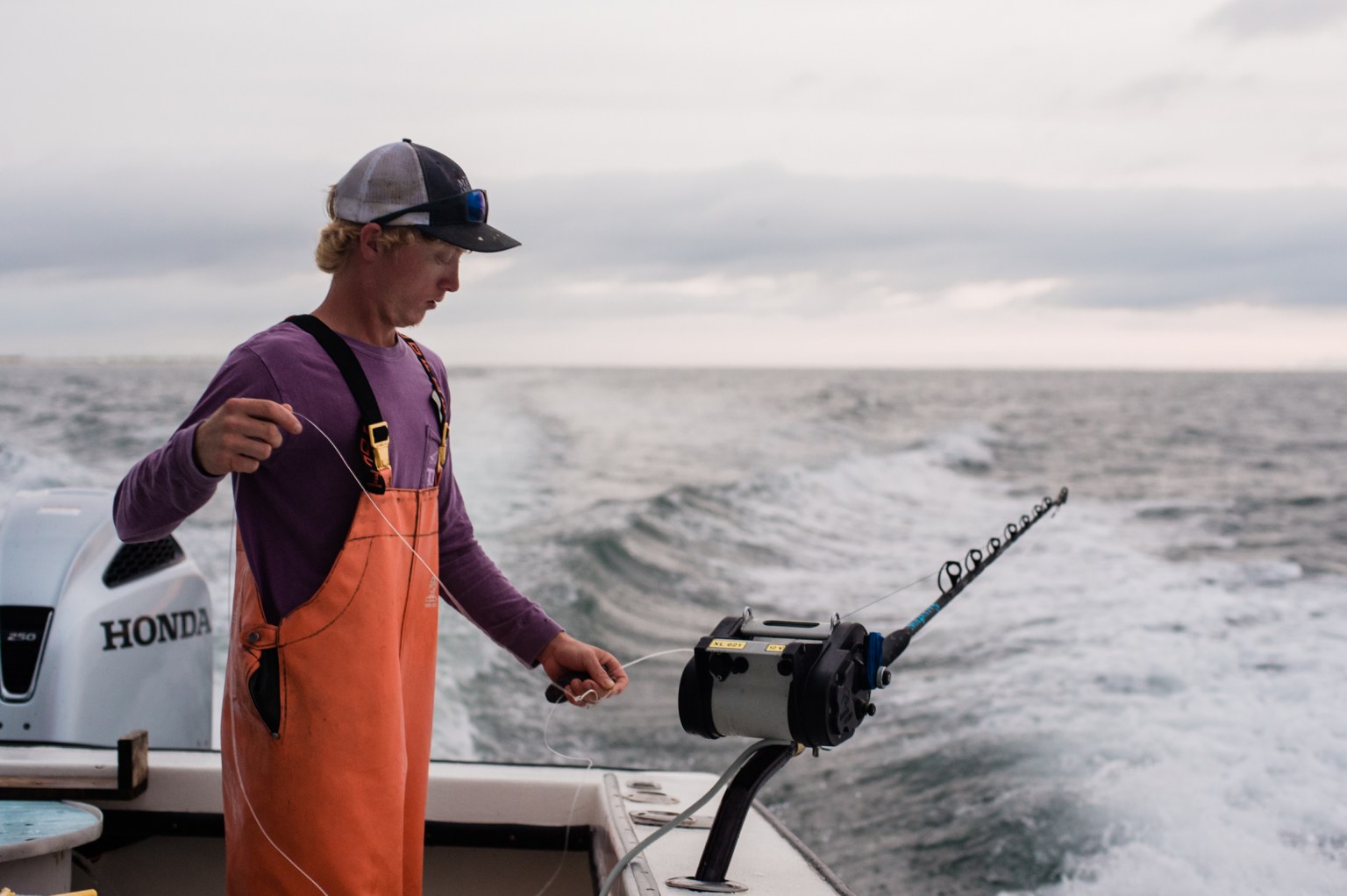 Enriquecimiento noche gloria En Carolina del Norte, la pesca comercial se está adaptando al peligro del  calentamiento de los mares - Carolina Public Press